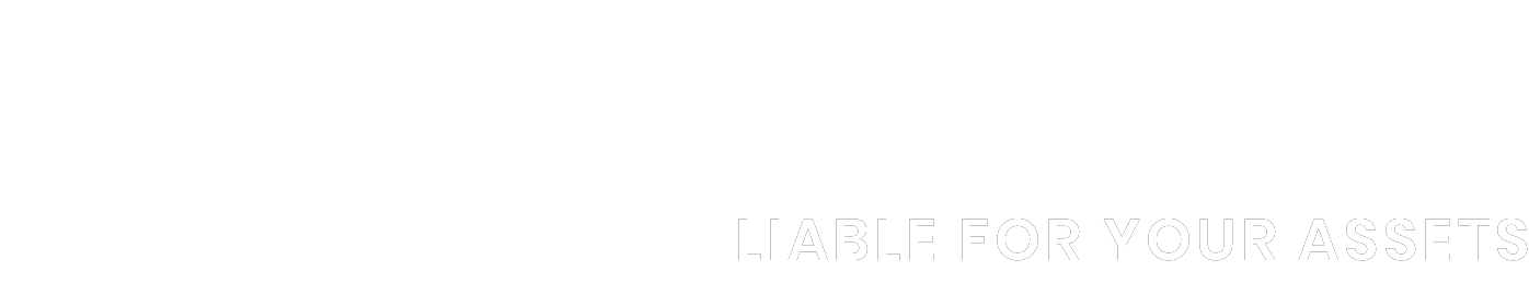 AssetScout